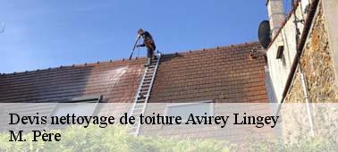 M. Père : une entreprise professionnelle de nettoyage toiture