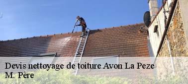 Pour bien organiser le nettoyage de votre toit à Avon La Peze 10290