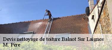 Tarif nettoyage toiture pas cher à Balnot Sur Laignes