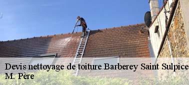 Entreprise de nettoyage toiture à Barberey Saint Sulpice : un accompagnement professionnel