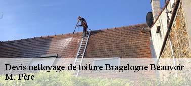 Pour le nettoyage de votre toit en tuile à Bragelogne Beauvoir 10340