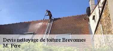 Estimez gratuitement votre projet nettoyage et démoussage toit à Brevonnes