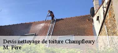 Toujours à votre service pour réaliser le démoussage de votre toit à Champfleury