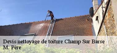 Pour le nettoyage de votre toit en tuile à Champ Sur Barse 10140