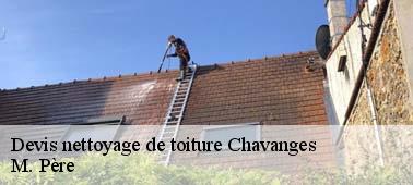 Entreprise de nettoyage toiture à Chavanges : un accompagnement professionnel