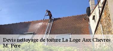 Sollicitez votre devis nettoyage toiture gratuit à La Loge Aux Chevres