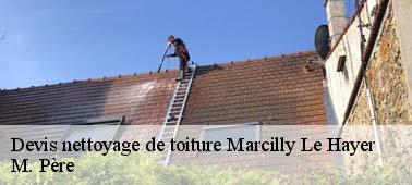 Tarif nettoyage toiture pas cher à Marcilly Le Hayer