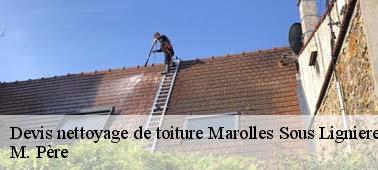 Spécialiste en nettoyage toiture ardoise à Marolles Sous Lignieres 10130