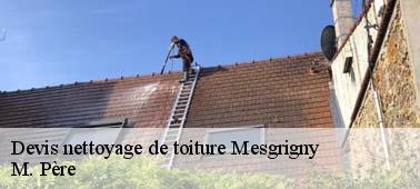 Tarif nettoyage toiture pas cher à Mesgrigny