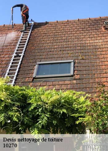Spécialiste en nettoyage toiture ardoise à Montaulin 10270