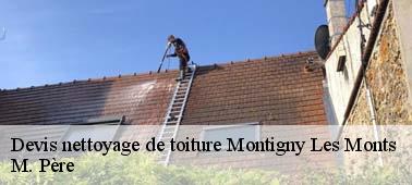Sollicitez votre devis nettoyage toiture gratuit à Montigny Les Monts