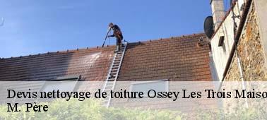 Nettoyage toiture sur-mesure à Ossey Les Trois Maisons et ses environs