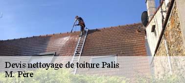 Spécialiste en nettoyage toiture ardoise à Palis 10190