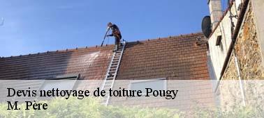 Estimez gratuitement votre projet nettoyage et démoussage toit à Pougy