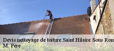 Une équipe d’experts en nettoyage toiture à Saint Hilaire Sous Romilly