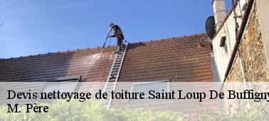 Une équipe d’experts en nettoyage toiture à Saint Loup De Buffigny