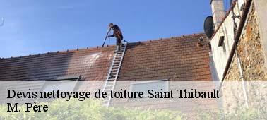 Devis gratuit pour toutes sortes de nettoyage toiture à Saint Thibault