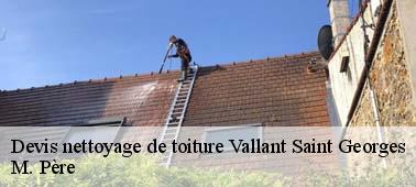 Nettoyage toiture sur-mesure à Vallant Saint Georges et ses environs
