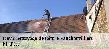 Entreprise de nettoyage toiture à Vauchonvilliers : un accompagnement professionnel