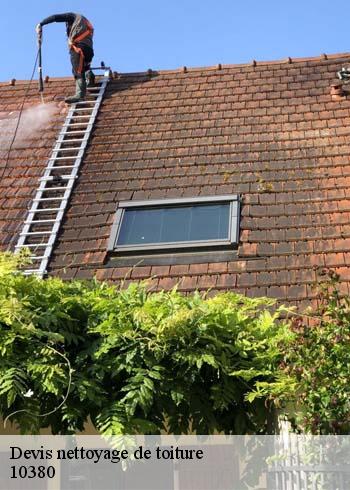 Pour le nettoyage de votre toit en tuile à Viapres Le Petit 10380
