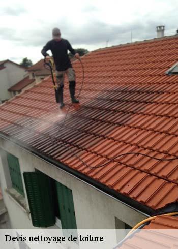 Tarif nettoyage toiture pas cher à Villemoyenne