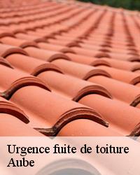 Demandez un devis fuite toiture dans le 10 