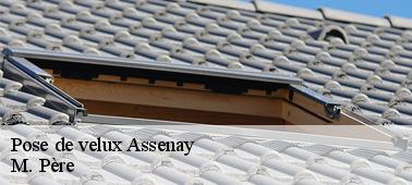 Les fenêtres de toit en bois et en PVC dans la ville de Assenay