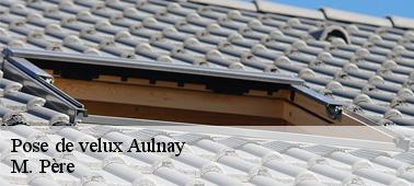 La proposition de plusieurs matériaux pour les fenêtres de toit par la société M. Père à Aulnay dans le 10240