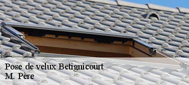 Réalisez les travaux d’installation et changement de votre velux à Betignicourt