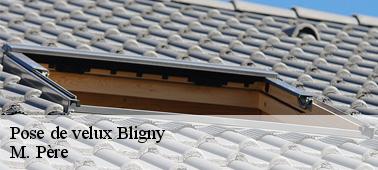 Les apports des fenêtres de toit pour une pièce en dessous du toit à Bligny dans le 10200