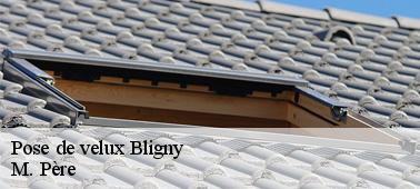 Le rapport entre la dimension de la salle et la taille du velux à Bligny dans le 10200