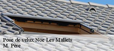 Effectuez une réparation de velux à Noe Les Mallets 