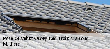 Les fenêtres de toit en bois et en PVC dans la ville de Ossey Les Trois Maisons