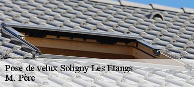 Les couvreurs professionnels et les avantages financiers pour la pose de velux à Soligny Les Etangs dans le 10400