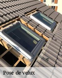Procédez à la pose de velux à Ville Sur Terre 