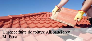 Les informations utiles pour les fuites d'eau au niveau du toit dans la ville de Allibaudieres