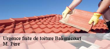 Les caractéristiques des solutions proposées par la société M. Père pour les urgences de fuite de toit à Balignicourt dans le 10330