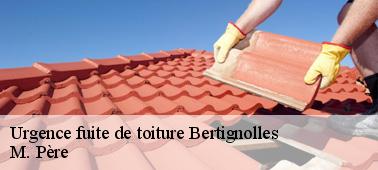 Résoudrez vos problèmes de fuite tuile à Bertignolles