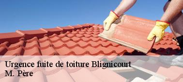 Les professionnels de la société M. Père qui sont sollicités pour traiter les urgences de fuite de toit à Blignicourt dans le 10500