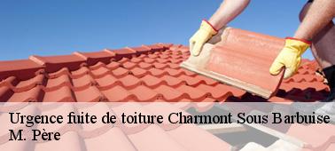 Vers qui doit-on se tourner pour les problèmes d'urgence de fuite de toit dans la ville de Charmont Sous Barbuise et ses environs