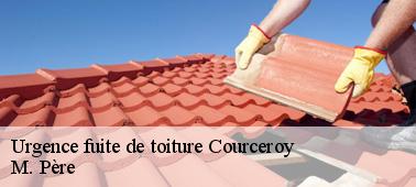 Ces professionnels à qui les propriétaires peuvent confier les cas d'urgence de fuite de toit à Courceroy dans le 10400