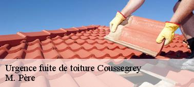 Les conditions climatiques et les urgences de fuite de toit à Coussegrey dans le 10210
