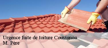 Comment rechercher les origines des fuites d'eau de pluie au niveau du toit dans la ville de Couvignon dans le 10200
