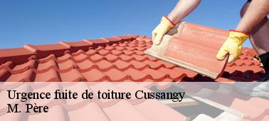Vers qui doit-on se tourner pour les problèmes d'urgence de fuite de toit dans la ville de Cussangy et ses environs