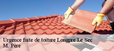 Le recouvrement de la toiture par une bâche pour les urgences de fuite de toit à Longpre Le Sec dans le 10140