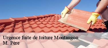 Les différents éléments qui peuvent être touchés causant les fuites de toit dans la ville de Montangon
