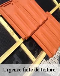 Une protection optimale des couvreurs professionnels pour les travaux en cas d'urgence de fuite de toit à Villemoiron En Othe dans le 10160