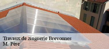 Le renforcement de l'étanchéité de la toiture à Brevonnes dans le 10220 par les différents travaux de zinguerie