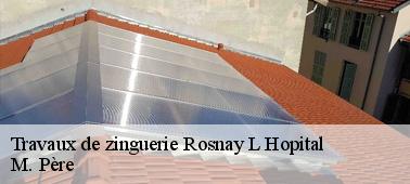 Différents types de chéneaux qui existent sur le marché à Rosnay L Hopital dans le 10500