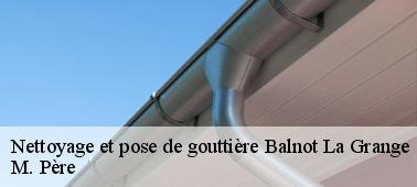 Pour quelles raisons les couvreurs professionnels doivent-ils intervenir pour l'entretien des gouttières à Balnot La Grange dans le 10210